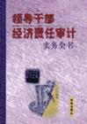 领导干部经济责任审计实务全书